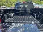 2025 Ford F-150 SuperCrew Cab 4x4 Pickup for sale #F00853 - photo 25