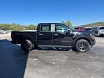 2025 Ford F-150 SuperCrew Cab 4x4 Pickup for sale #25T3266 - photo 13