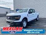 2024 Ford F-150 SuperCrew Cab 4x4 Pickup for sale #24T2454 - photo 1