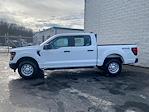 2024 Ford F-150 SuperCrew Cab 4x4 Pickup for sale #24T2454 - photo 5
