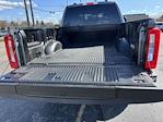 2023 Ford F-350 Crew Cab SRW 4x4 Pickup for sale #EC80661A - photo 10