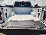 2024 Ford F-150 SuperCrew Cab 4WD Pickup for sale #FB89012 - photo 20