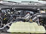 2024 Ford F-150 SuperCrew Cab 4WD Pickup for sale #KE51193 - photo 22