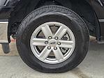 2024 Ford F-150 Regular Cab 4WD Pickup for sale #KE69768 - photo 7