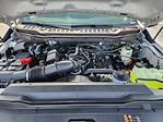 2024 Ford F-250 Crew Cab 4WD Pickup for sale #REF39624 - photo 21