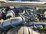 2024 Ford F-250 Crew Cab 4WD Pickup for sale #REF41559 - photo 21