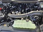 2024 Ford F-150 SuperCrew Cab 4WD Pickup for sale #RFB89181 - photo 22