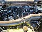 2024 Ford F-150 SuperCrew Cab 4WD Pickup for sale #RFC23485 - photo 22