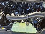 2024 Ford F-150 SuperCrew Cab 4WD Pickup for sale #RKF57818 - photo 23