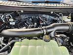 New 2025 Ford Expedition MAX Platinum 4WD SUV for sale #SEA45367 - photo 23