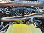 New 2025 Ford Expedition Platinum 4WD SUV for sale #SEA54879 - photo 23