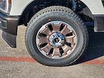 New 2025 Ford F-250 Crew Cab 4WD Pickup for sale #SED06824 - photo 8