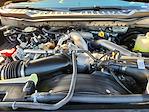 New 2025 Ford F-250 Crew Cab 4WD Pickup for sale #SED41989 - photo 22