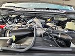 New 2025 Ford F-250 Crew Cab 4WD Pickup for sale #SED45431 - photo 22