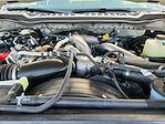 New 2025 Ford F-250 Crew Cab 4WD Pickup for sale #SED64062 - photo 22