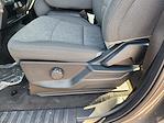 New 2025 Ford F-250 Crew Cab 4WD Pickup for sale #SEE10910 - photo 17