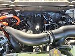 2025 Ford F-150 SuperCrew Cab 4WD Pickup for sale #SFA21953 - photo 22