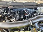 2025 Ford F-150 SuperCrew Cab 4WD Pickup for sale #SFA22414 - photo 22