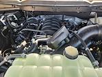 2025 Ford F-150 SuperCrew Cab 4WD Pickup for sale #SFA30703 - photo 22