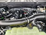 2025 Ford F-150 SuperCrew Cab 4WD Pickup for sale #SFA35329 - photo 22