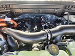 2025 Ford F-150 SuperCrew Cab 4WD Pickup for sale #SFA35643 - photo 22