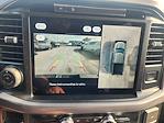 2025 Ford F-150 SuperCrew Cab 4WD Pickup for sale #SFA36325 - photo 13