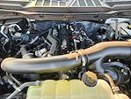 New 2025 Ford F-150 XLT SuperCrew Cab 4WD Pickup for sale #SFA36447 - photo 22