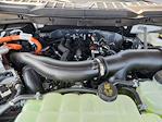 2025 Ford F-150 SuperCrew Cab 4WD Pickup for sale #SFA39810 - photo 22