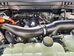 New 2025 Ford F-150 Platinum SuperCrew Cab 4WD Pickup for sale #SFA42099 - photo 22