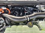 2025 Ford F-150 SuperCrew Cab 4WD Pickup for sale #SFA50406 - photo 22