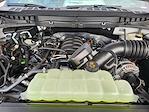 New 2025 Ford F-150 Tremor SuperCrew Cab 4WD Pickup for sale #SFA54322 - photo 22