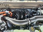 2025 Ford F-150 SuperCrew Cab 4WD Pickup for sale #SFA55362 - photo 22