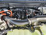2025 Ford F-150 SuperCrew Cab 4WD Pickup for sale #SFA57515 - photo 22