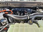 New 2025 Ford F-150 Platinum SuperCrew Cab 4WD Pickup for sale #SFA82932 - photo 22