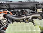 New 2025 Ford F-150 Platinum SuperCrew Cab 4WD Pickup for sale #SFA90258 - photo 22