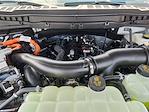2025 Ford F-150 SuperCrew Cab 4WD Pickup for sale #SFA90500 - photo 22