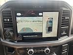 New 2025 Ford F-150 XLT SuperCrew Cab 4WD Pickup for sale #SFA95841 - photo 13