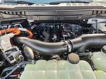 2025 Ford F-150 SuperCrew Cab 4WD Pickup for sale #SFA96959 - photo 22