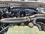 2025 Ford F-150 SuperCrew Cab 4WD Pickup for sale #SFB06039 - photo 22