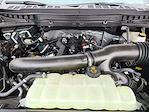 New 2025 Ford F-150 Tremor SuperCrew Cab 4WD Pickup for sale #SFB06094 - photo 22