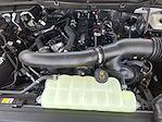 New 2025 Ford F-150 Platinum SuperCrew Cab 4WD Pickup for sale #SFB06235 - photo 22