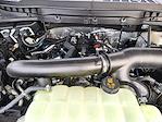2025 Ford F-150 SuperCrew Cab 4WD Pickup for sale #SFB14368 - photo 22