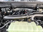 2025 Ford F-150 SuperCrew Cab 4WD Pickup for sale #SFB19400 - photo 22
