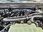 2025 Ford F-150 SuperCrew Cab 4WD Pickup for sale #SFB31879 - photo 22