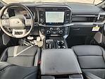 2025 Ford F-150 SuperCrew Cab 4WD Pickup for sale #SFB35696 - photo 19