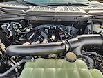 2025 Ford F-150 SuperCrew Cab 4WD Pickup for sale #SFB35696 - photo 22