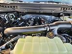 New 2025 Ford F-150 Tremor SuperCrew Cab 4WD Pickup for sale #SFB50409 - photo 22