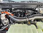 2025 Ford F-150 SuperCrew Cab 4WD Pickup for sale #SFB50526 - photo 22