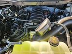 2025 Ford F-150 SuperCrew Cab 4WD Pickup for sale #SFB65122 - photo 22
