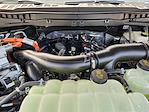 New 2025 Ford F-150 Platinum SuperCrew Cab 4WD Pickup for sale #SFB71407 - photo 22